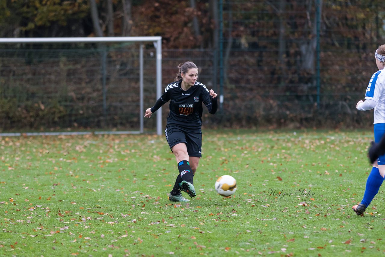 Bild 119 - Frauen SV Henstedt Ulzburg III - Bramstedter TS : Ergebnis: 1:0